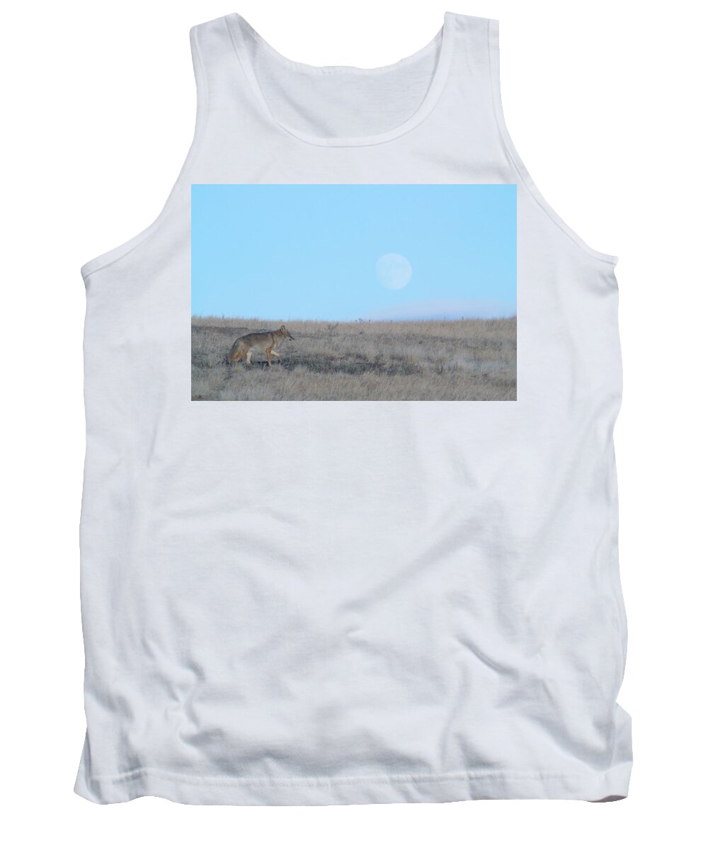 Wildlife Tank Top featuring the photograph Early Hunt by Donald J Gray