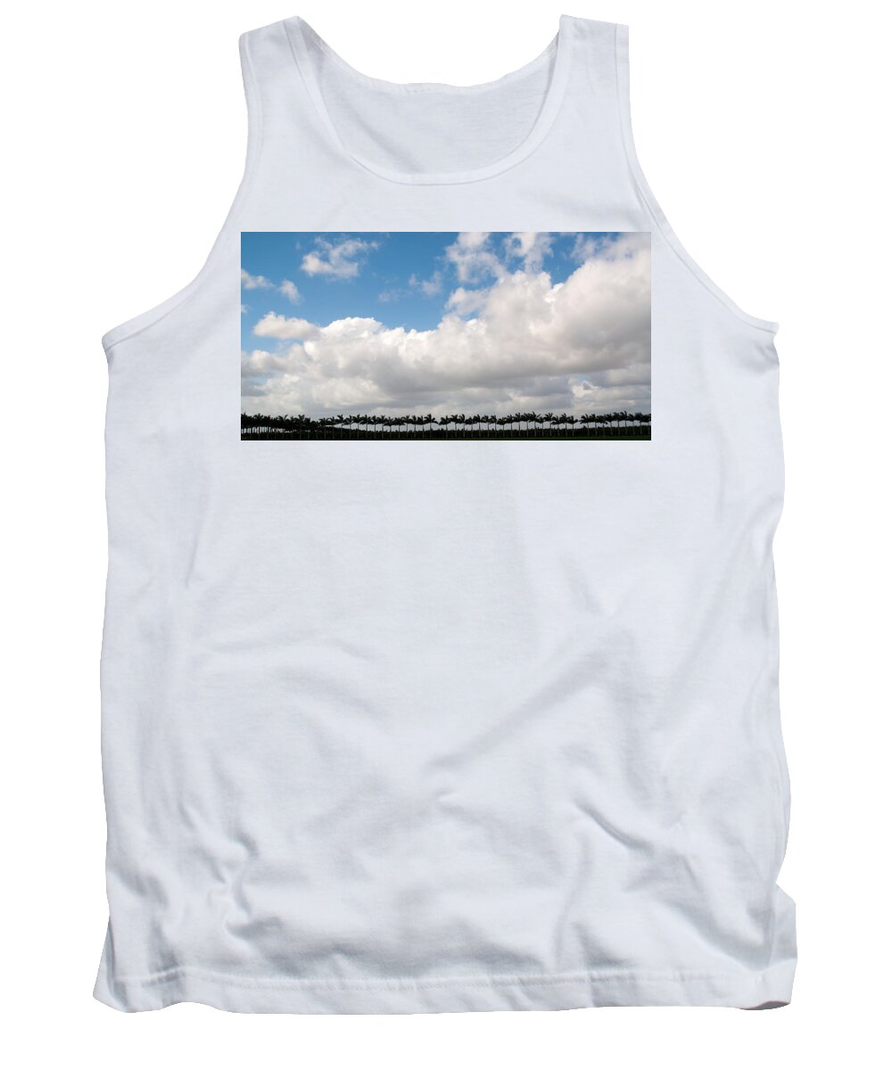 Scenery Tank Top featuring the photograph Everglades Palms by Kenneth Albin