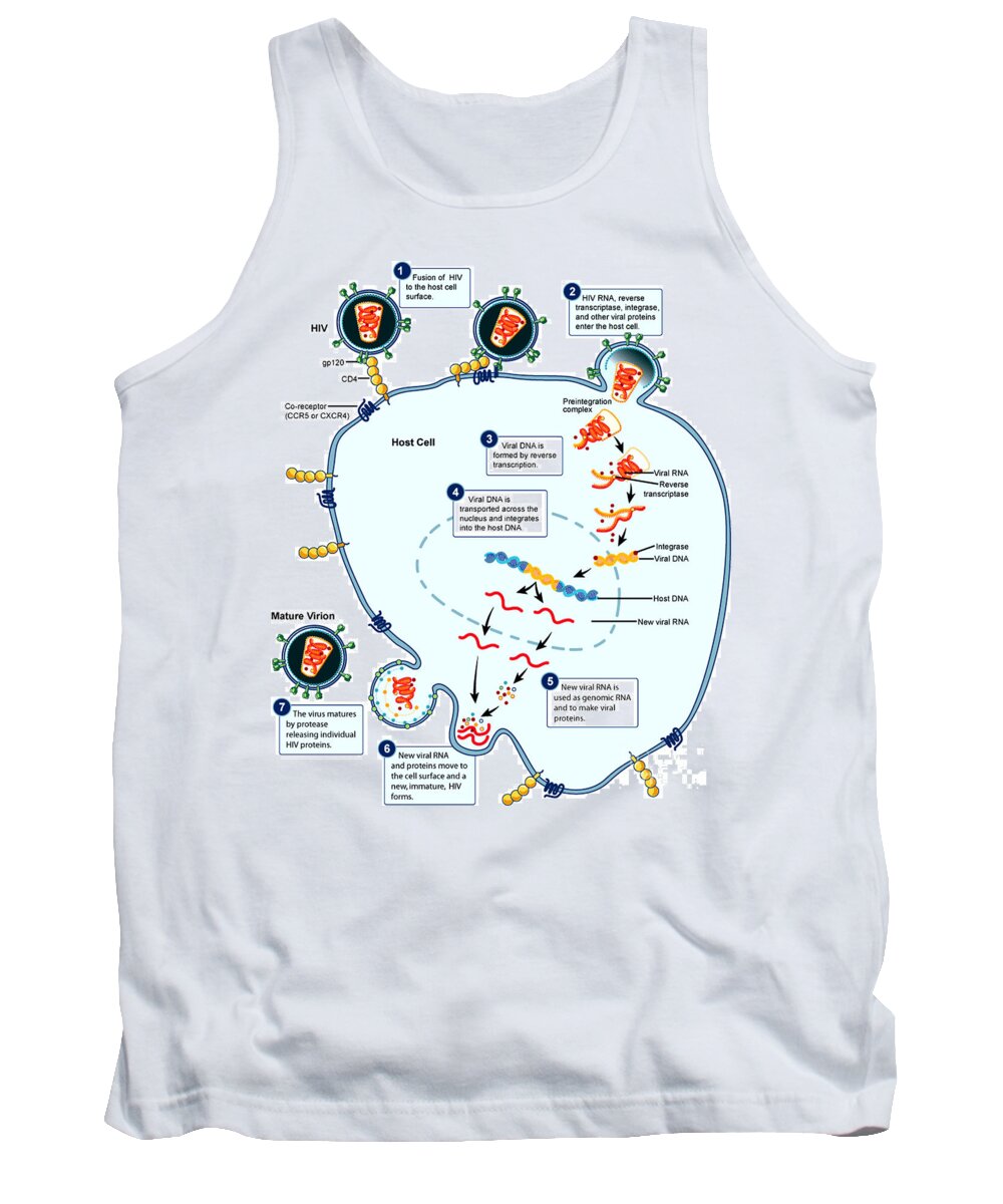 Microbiology Tank Top featuring the photograph Hiv Virus Replication Cycle by Science Source