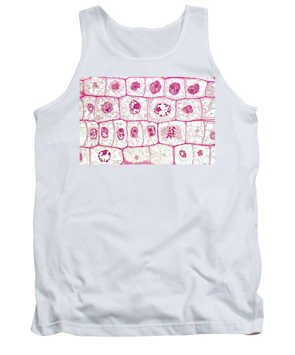 Histology Tank Top featuring the photograph Mitosis In Root Apex, Allium by M. I. Walker