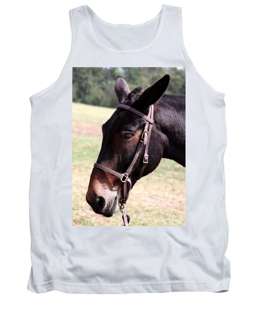 Mule Tank Top featuring the photograph Mule by Travis Truelove