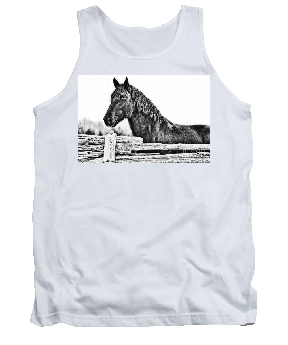 Horse Tank Top featuring the photograph Pride by Traci Cottingham