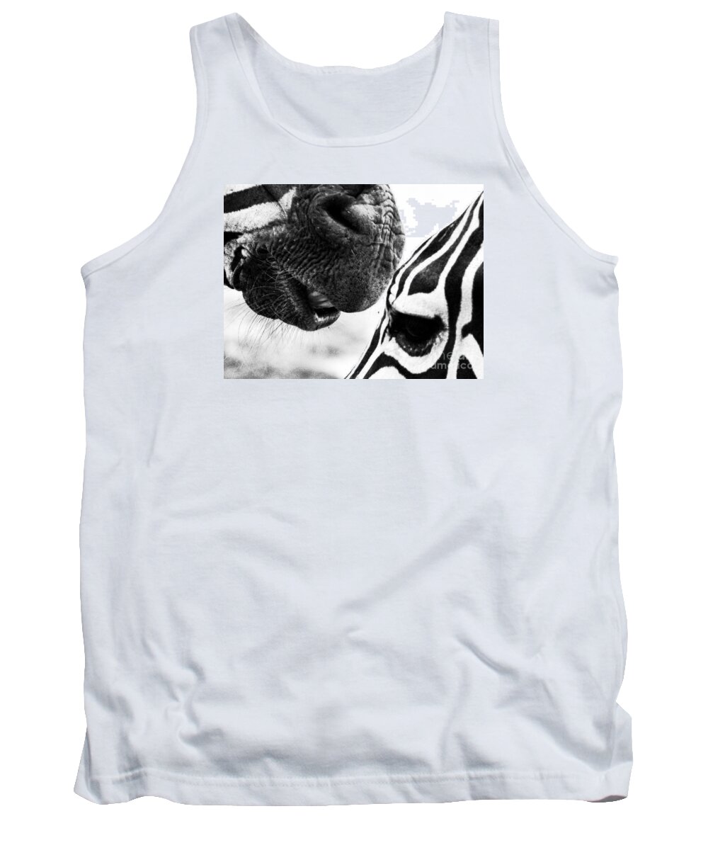 Zebra Tank Top featuring the photograph Promises by Traci Cottingham