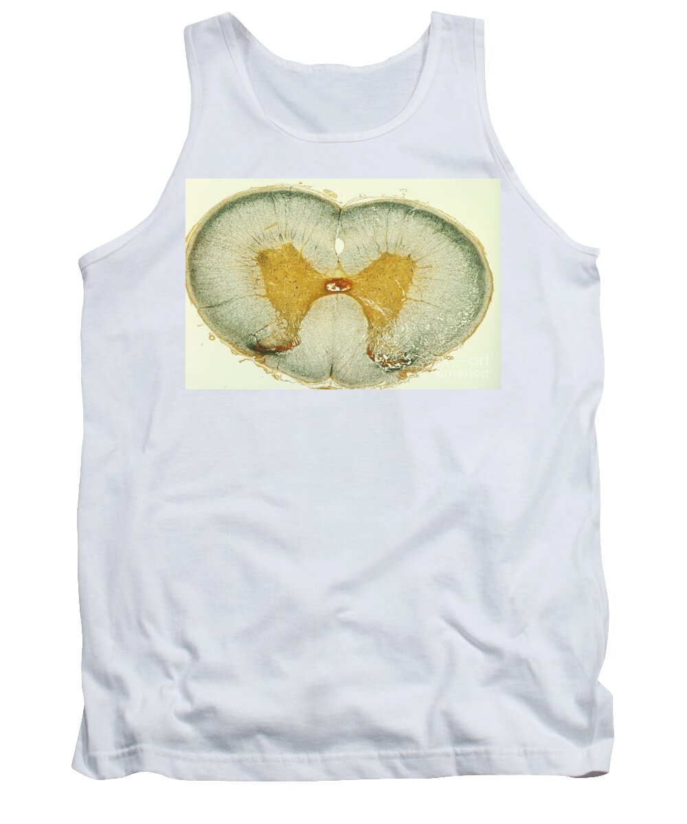 Spine Tank Top featuring the photograph Spinal Cord by MI Walker