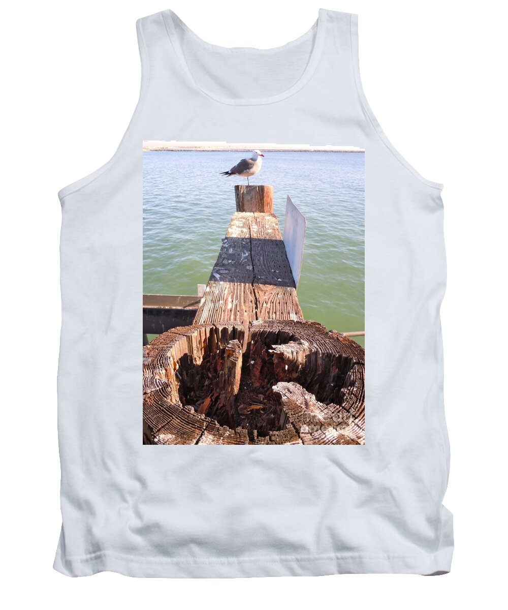 Wood Tank Top featuring the photograph Standing Guard by Customikes Fun Photography and Film Aka K Mikael Wallin