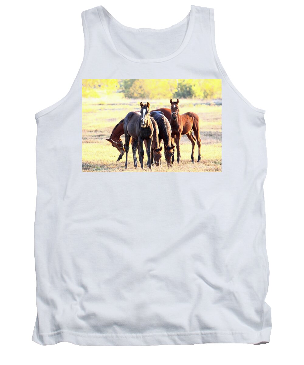  Tank Top featuring the photograph 'The Boys' by PJQandFriends Photography