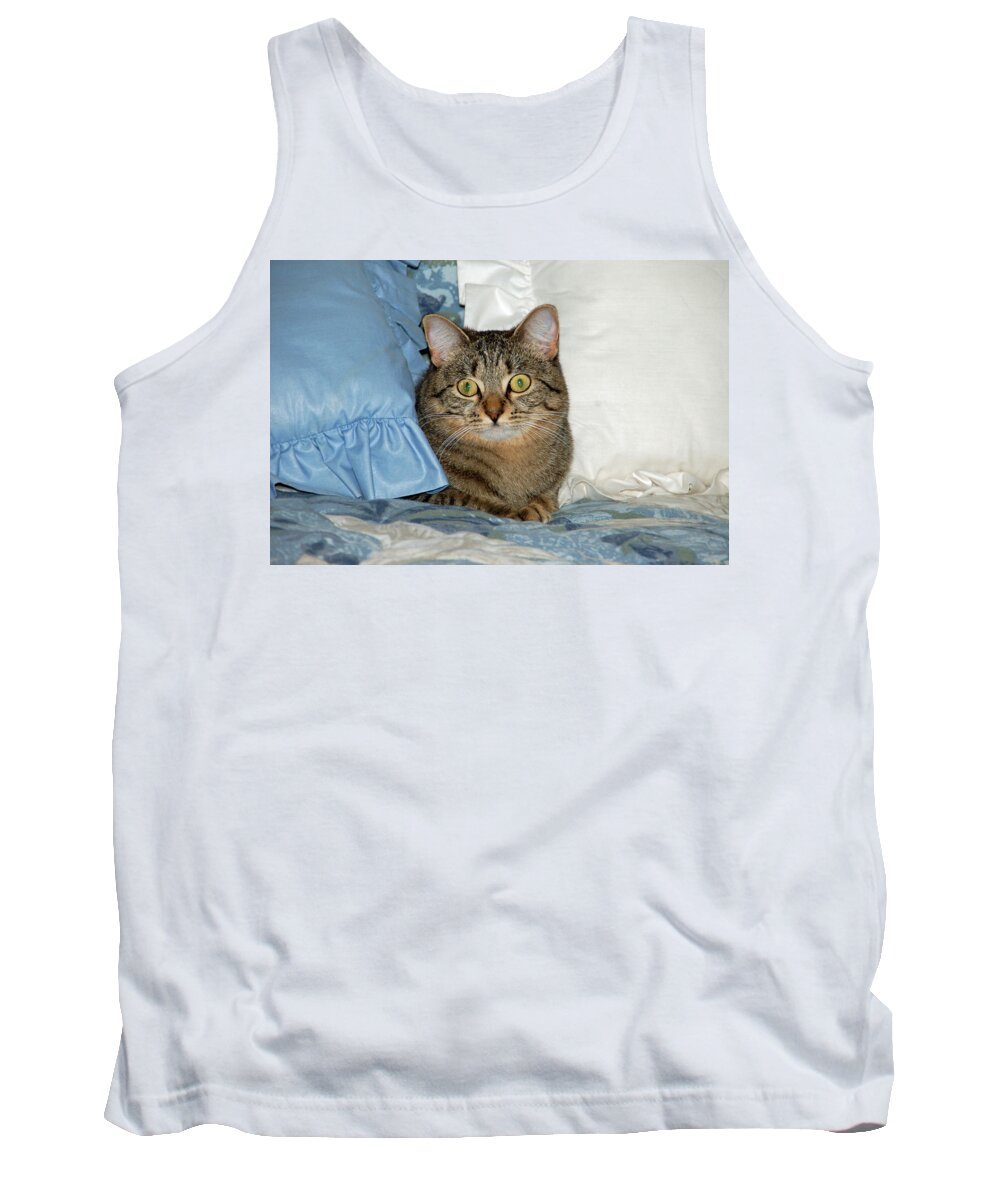 Cat Tank Top featuring the photograph Wide eyed by Aimee L Maher ALM GALLERY
