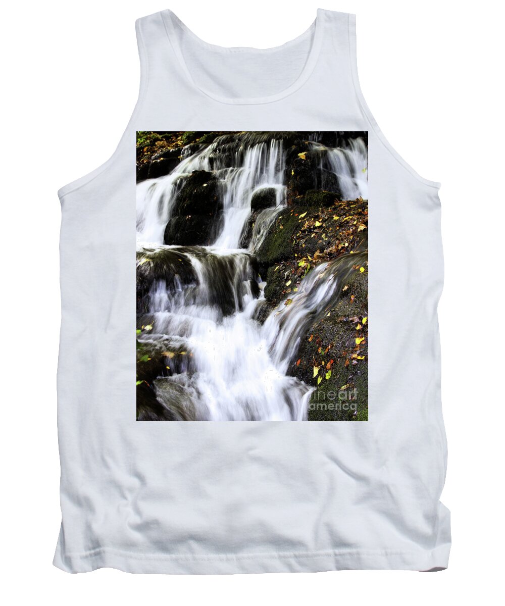 Badger Tank Top featuring the photograph Badger Dingle fall by Baggieoldboy