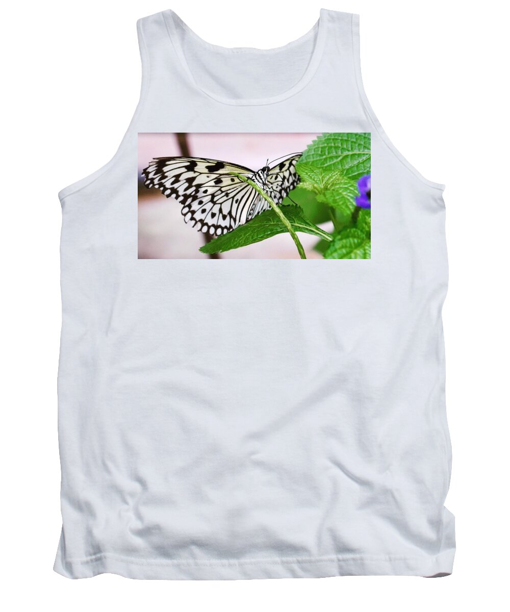 Butterfly Tank Top featuring the photograph Paper Kite Butterfly No. 1 by Sandy Taylor