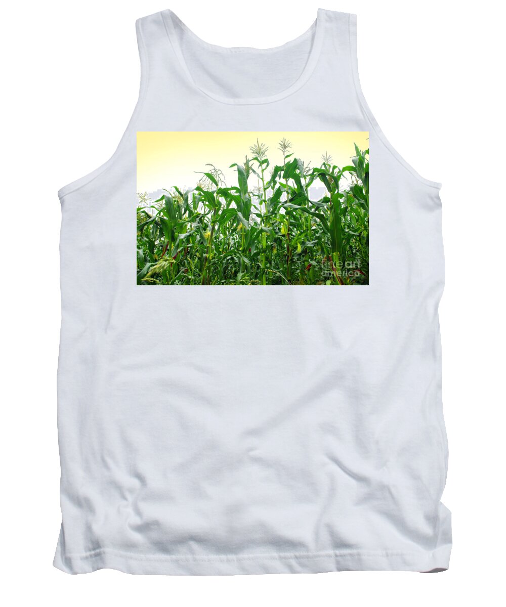 Agriculture Tank Top featuring the photograph Corn Field #1 by Carlos Caetano