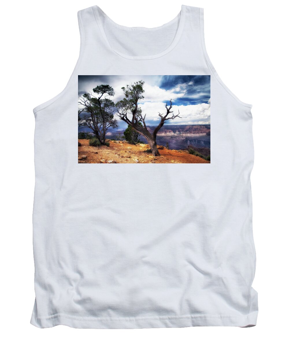 Grand Canyon Tank Top featuring the photograph Grand Canyon #1 by James Bethanis