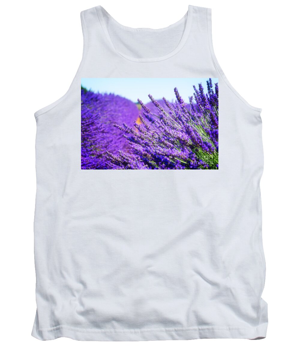 Lavender Tank Top featuring the photograph Lavender Field by Anastasy Yarmolovich
