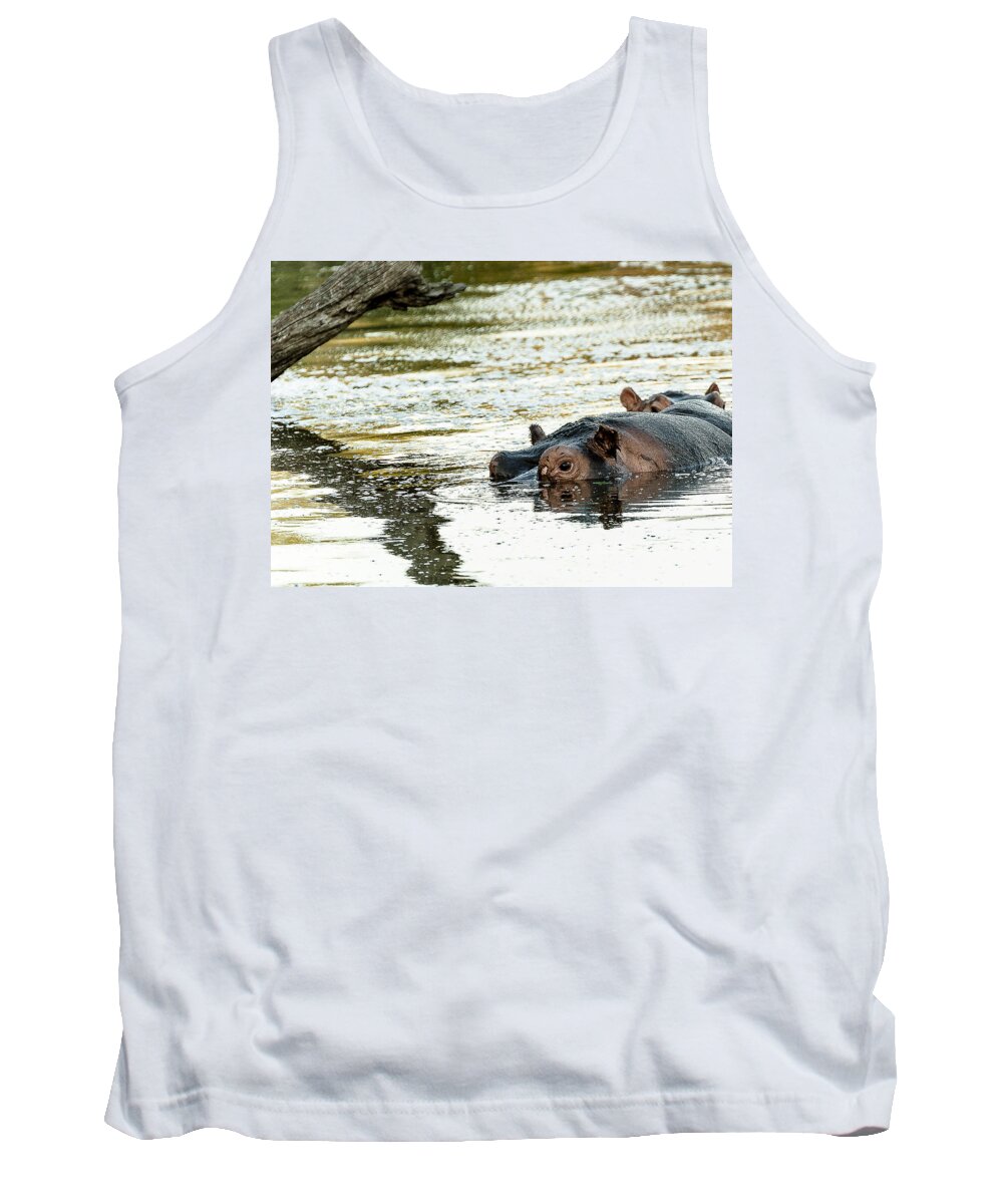 Wildlife Tank Top featuring the photograph Reflections #1 by Patrick Kain