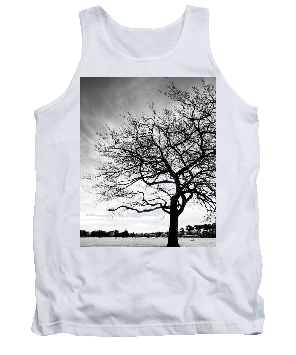Tree Tank Top featuring the photograph Tree Silhouette by Roseanne Jones