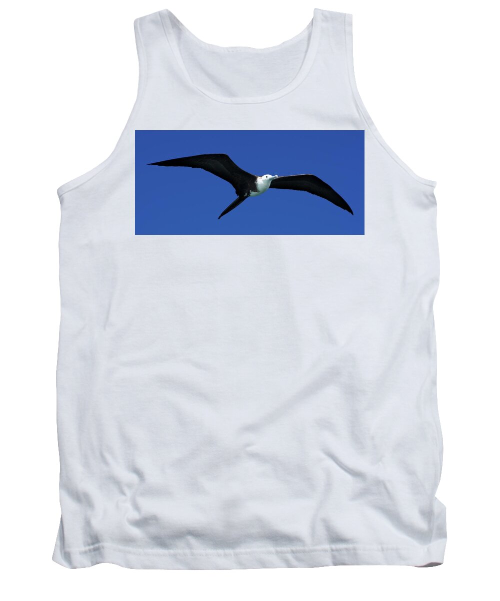 Wildlife Tank Top featuring the photograph Wildlife in Mexico #1 by Robert Grac