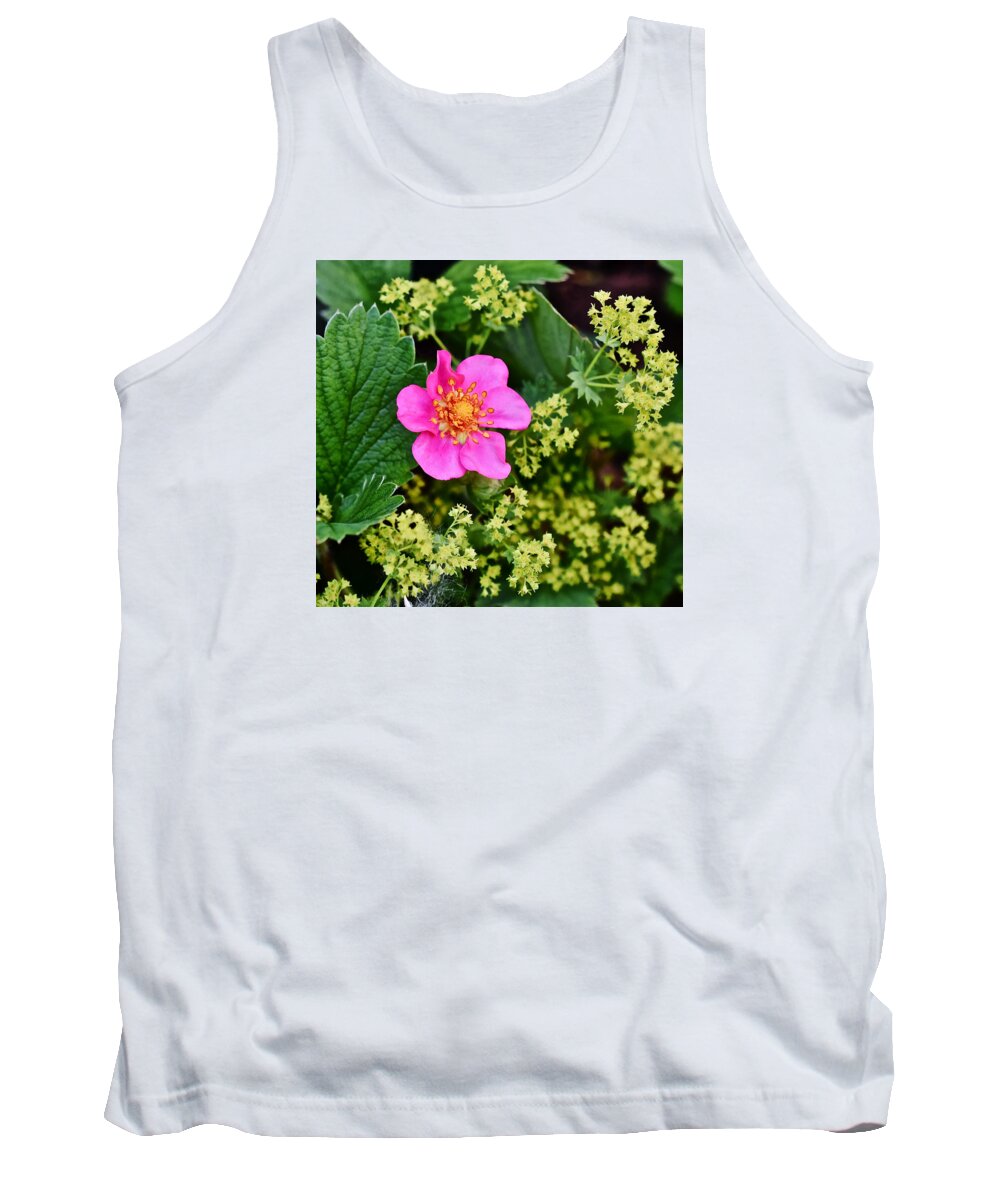 Strawberry Tank Top featuring the photograph 2015 Summer's Eve at the Garden Lipstick Strawberry by Janis Senungetuk