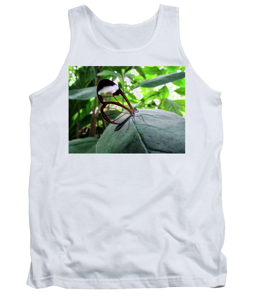 Butterfly Tank Top featuring the photograph Butterfly #3 by Cesar Vieira