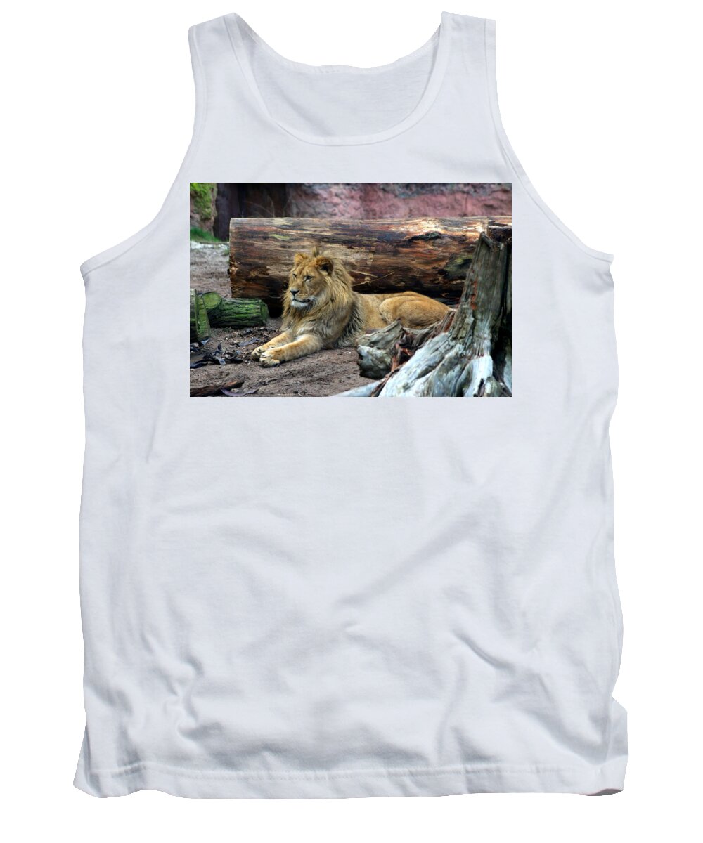 Hannover Zoo Germany Tank Top featuring the photograph Hannover Zoo GERMANY #32 by Paul James Bannerman