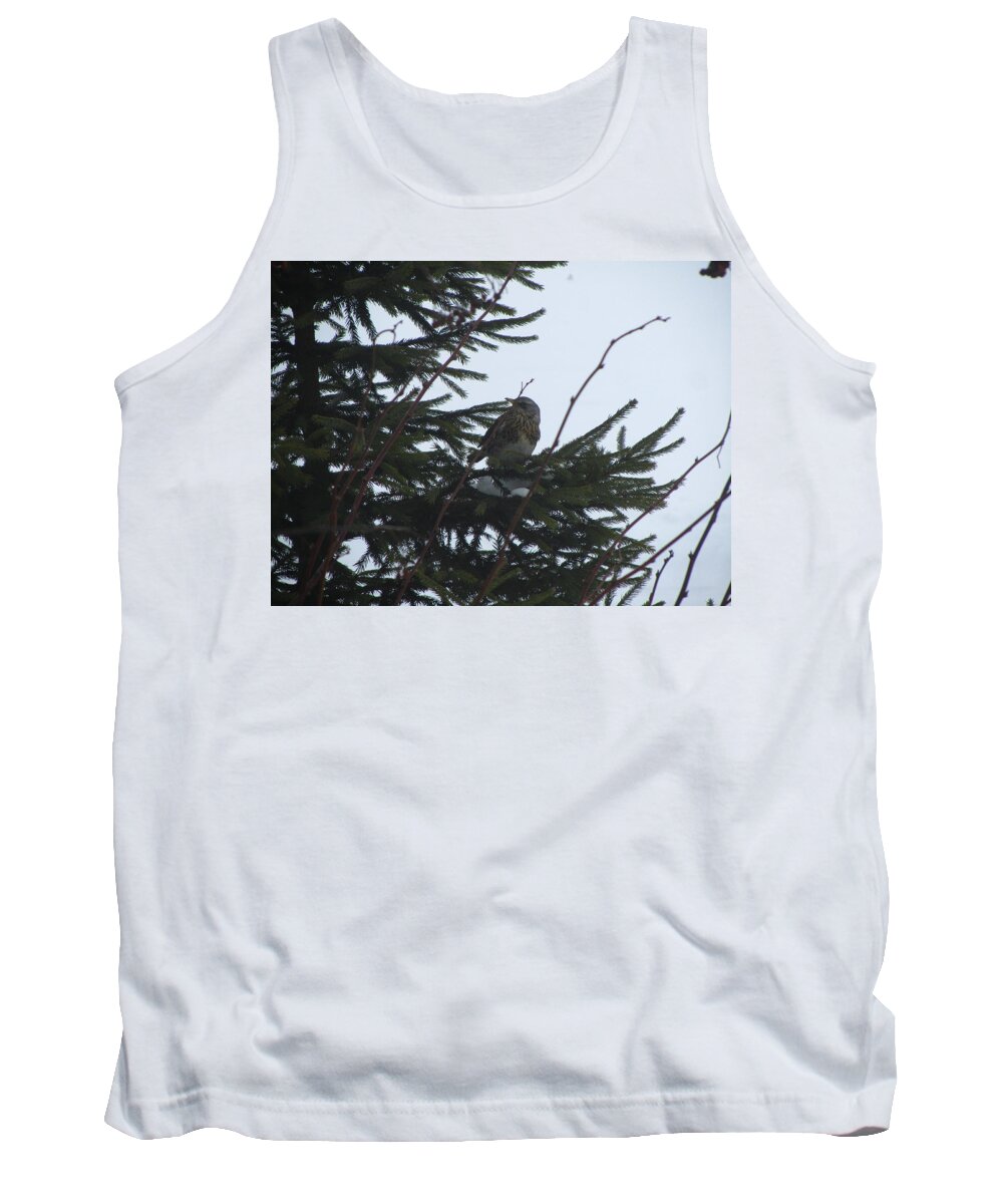Bird Tank Top featuring the photograph Bird #37 by Jackie Russo