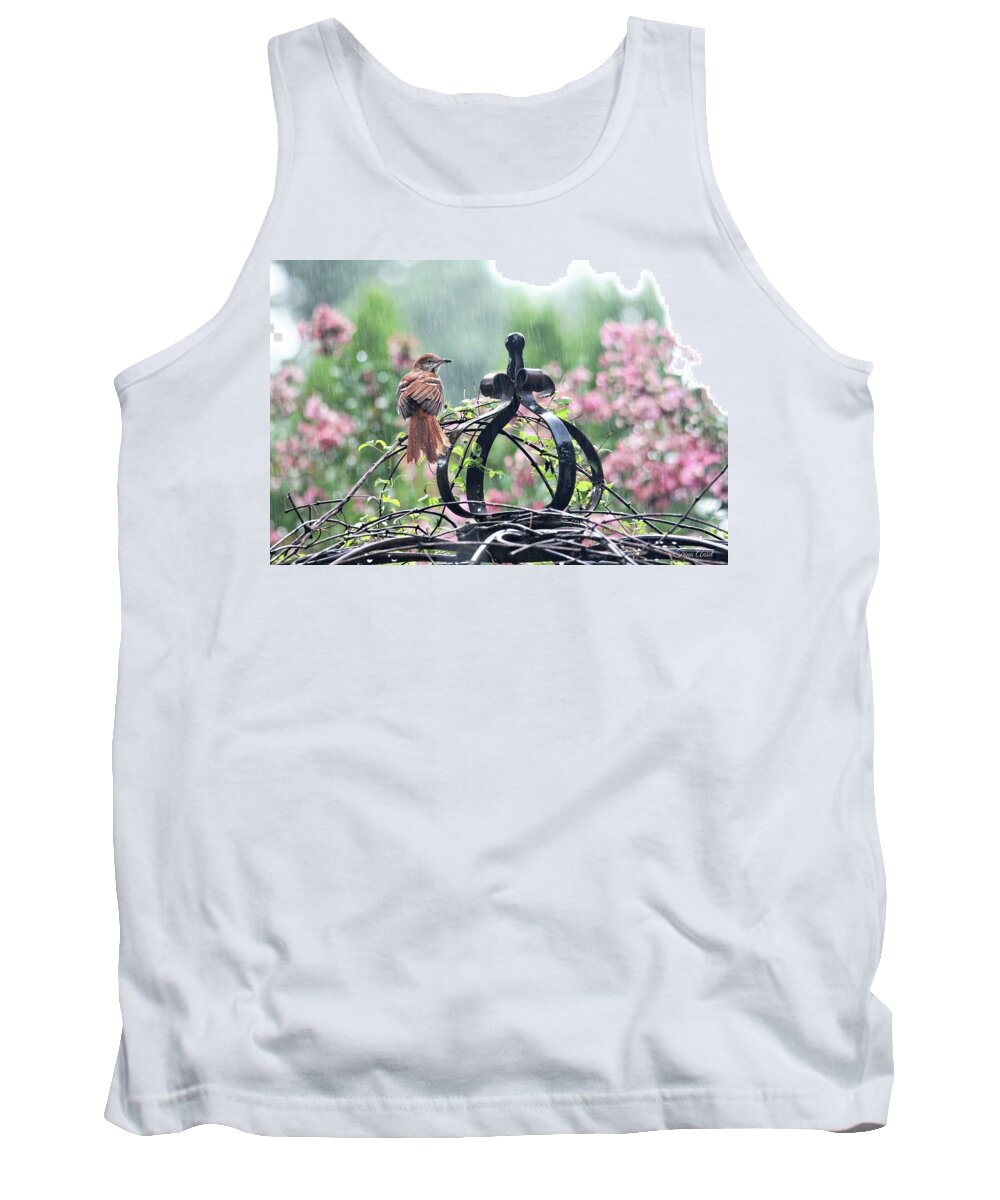 Birds Tank Top featuring the photograph A Rainy Summer Day by Trina Ansel