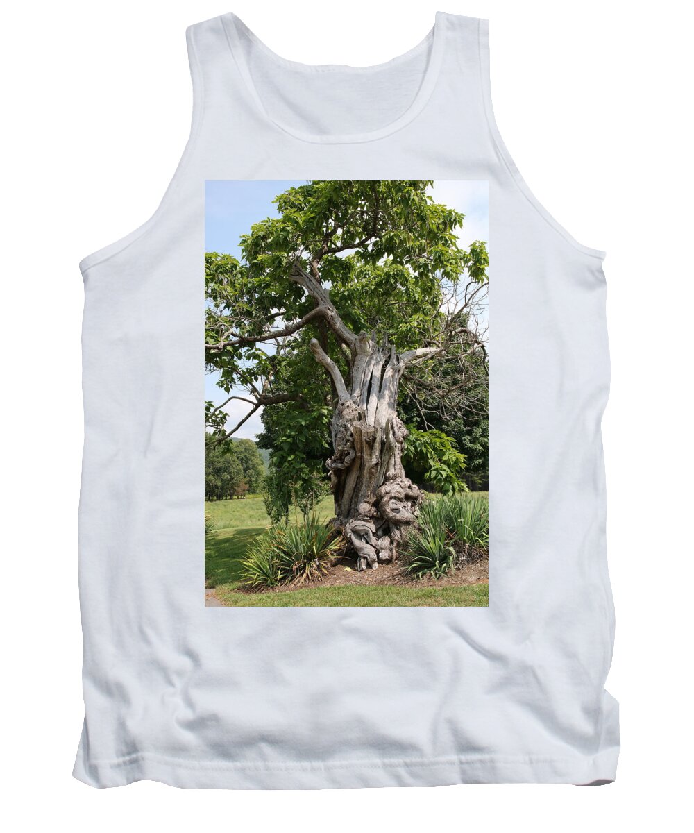 Tree Tank Top featuring the photograph Abstract Tree by Rick Redman