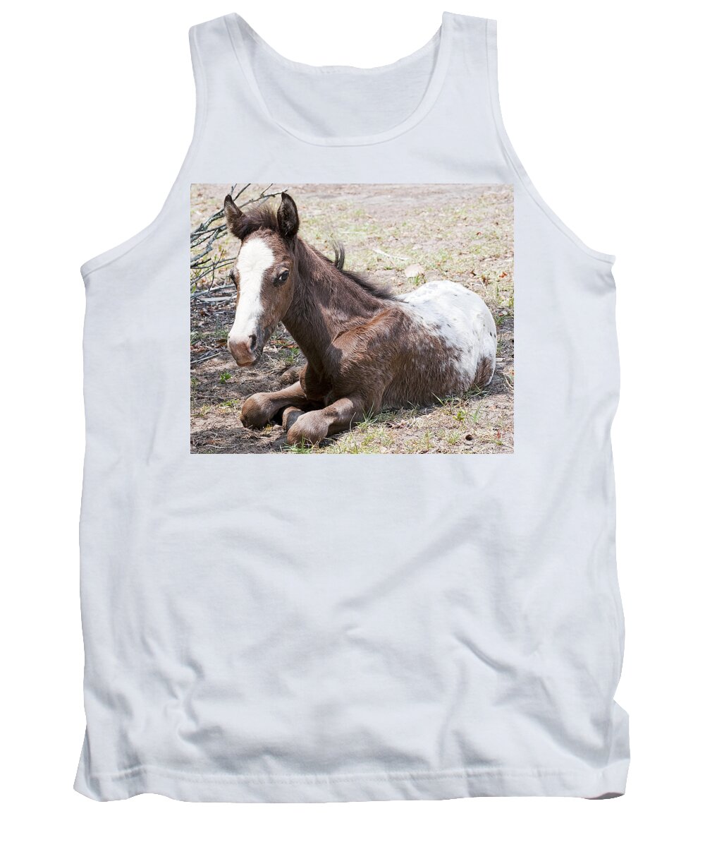Horse Tank Top featuring the photograph Appaloosa Foal by Kenneth Albin