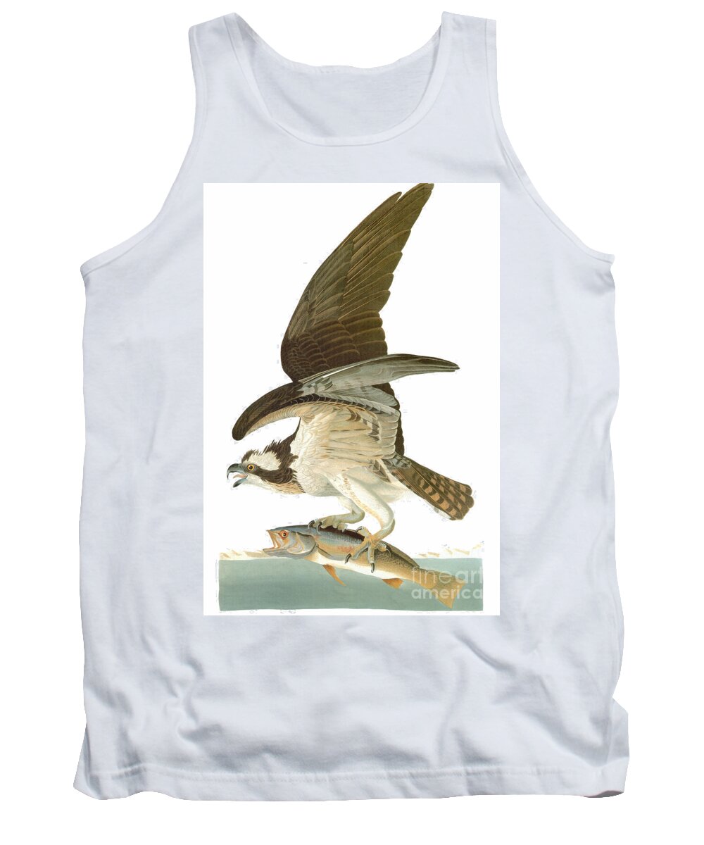 19th Century Tank Top featuring the drawing Osprey, or Fish Hawk. 1827-38 by John James Audubon