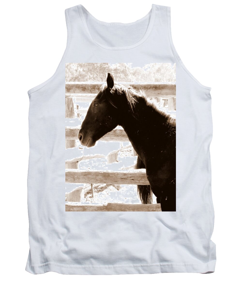 Wild Australian Horses Tank Top featuring the photograph Captured by Lexa Harpell