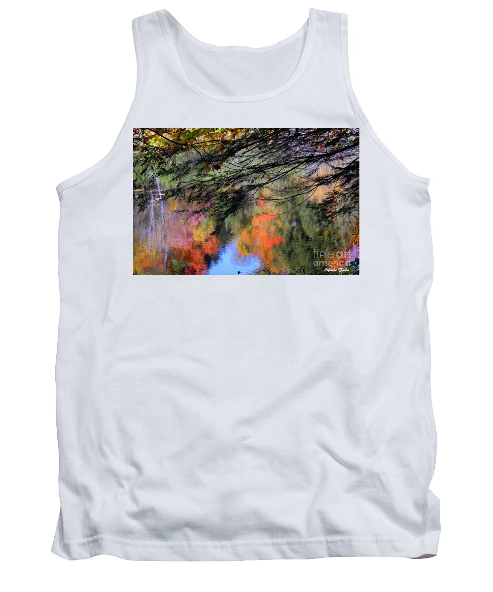 Dorwin Falls Tank Top featuring the photograph Autumn Glory by Elfriede Fulda