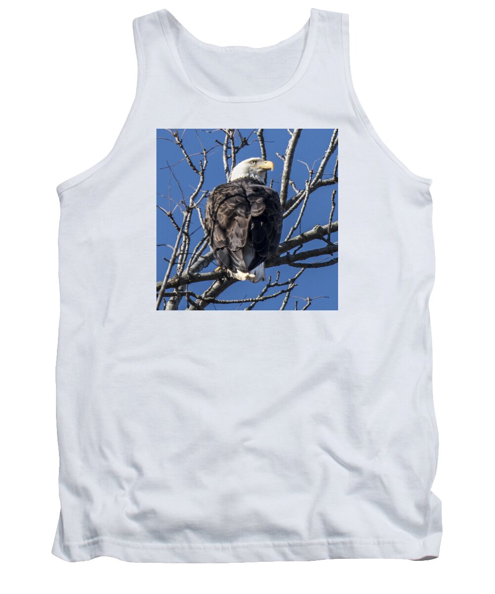 Eagle Tank Top featuring the photograph Bald Eagle Perched by William Bitman