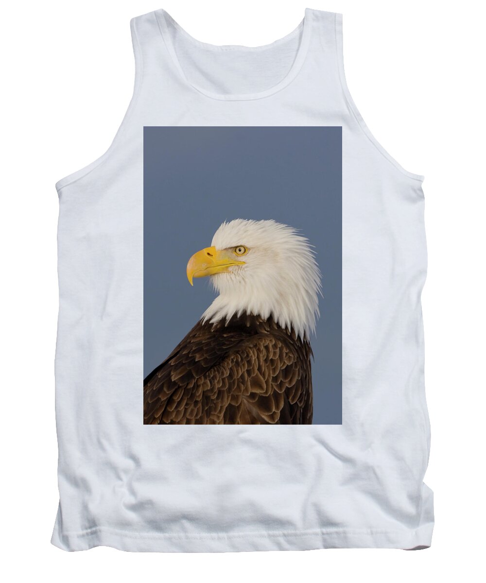 Eagles Tank Top featuring the photograph Bald Eagle Portrait by Mark Miller