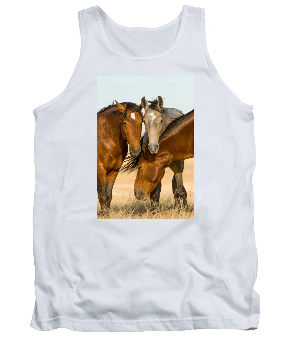 Wild Horse Tank Top featuring the photograph Band of Brothers by Kent Keller