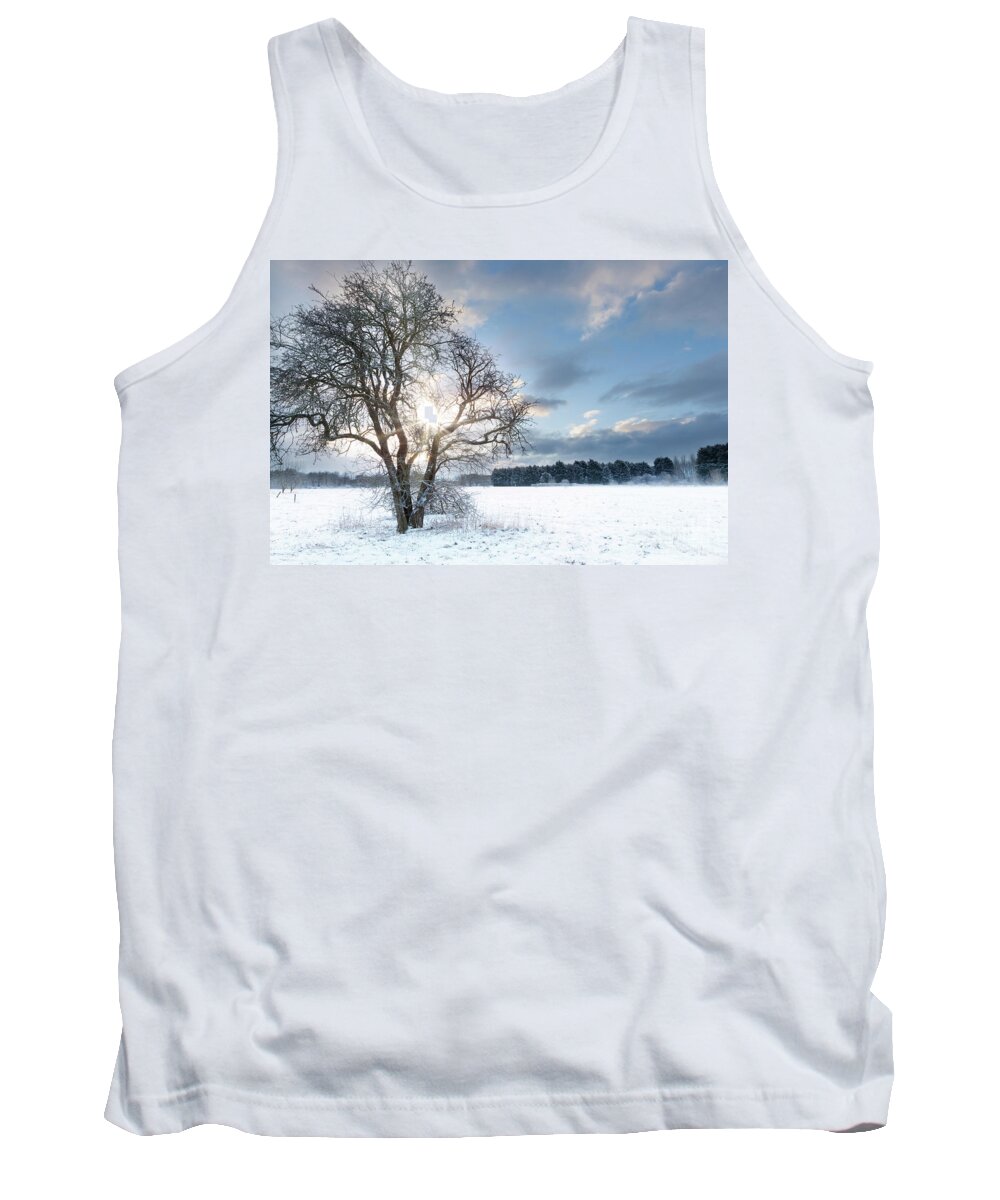 Snow Tank Top featuring the photograph Bare tree in a snow field with early sunrise by Simon Bratt