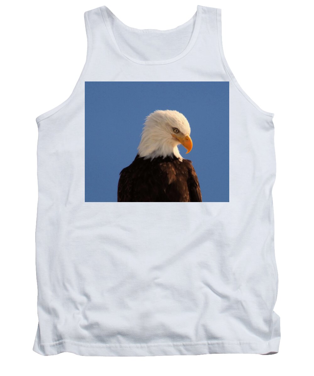 Eagle Tank Top featuring the photograph Beautiful Eagle by Jeff Swan
