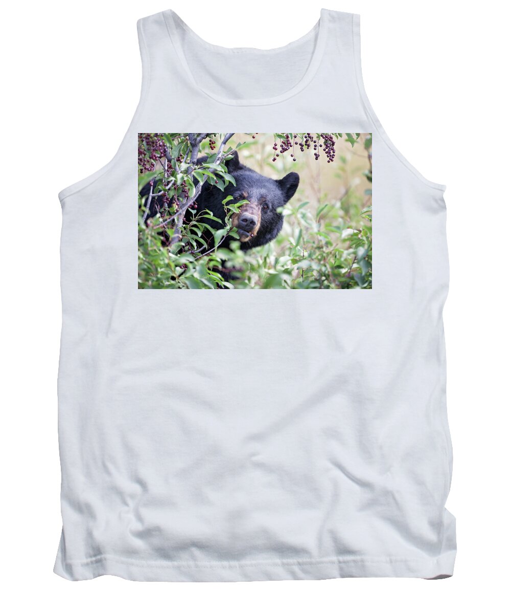 Black Bear Tank Top featuring the photograph Berry Picking by Eilish Palmer