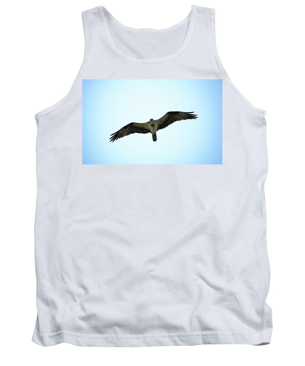 Bird Tank Top featuring the photograph Bird of Prey by Travis Rogers