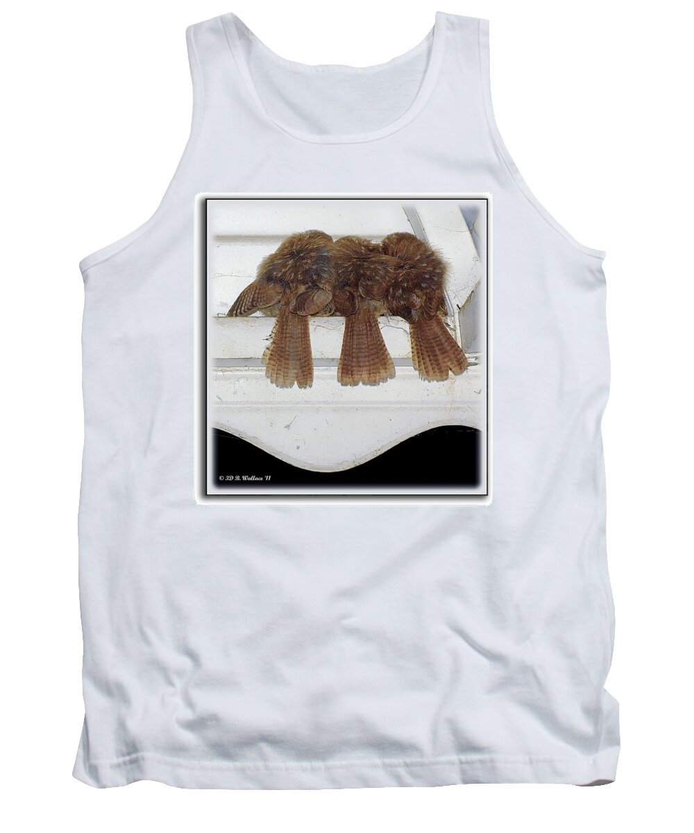2d Tank Top featuring the photograph Birds Of A Feather by Brian Wallace