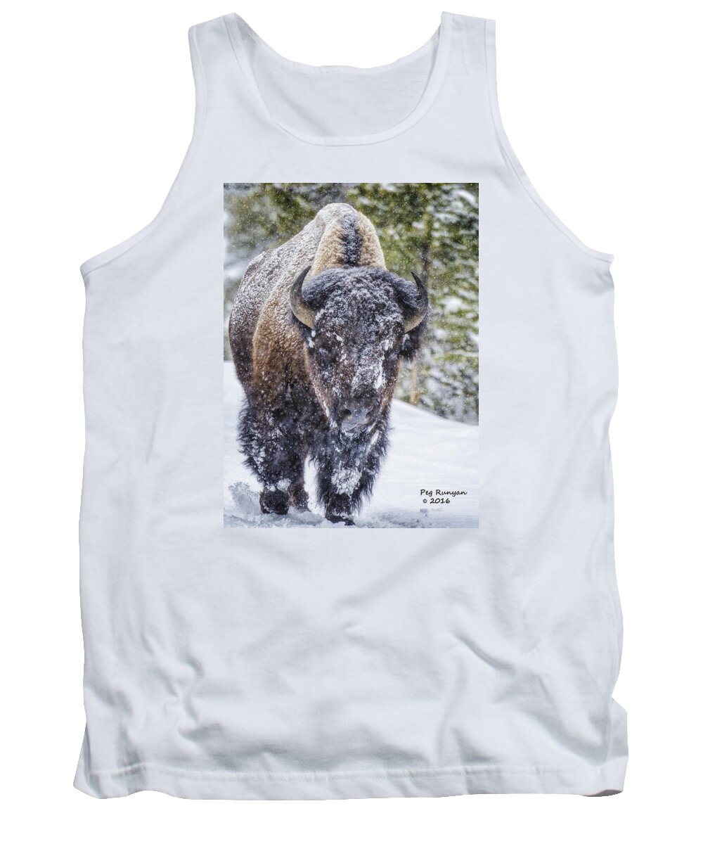 Bison Tank Top featuring the photograph Bison in a Snowstorm by Peg Runyan