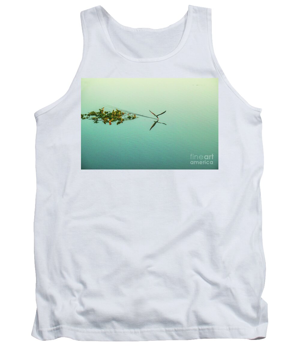 Black Skimmer At Sunset Tank Top featuring the photograph Black Skimmer At Sunset by Felix Lai