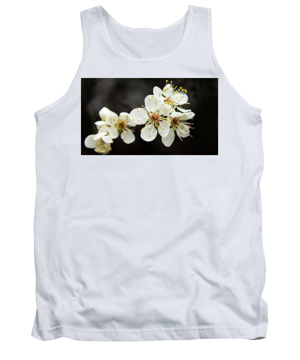 Trees Tank Top featuring the photograph Blossoms of Spring by Holly Ross