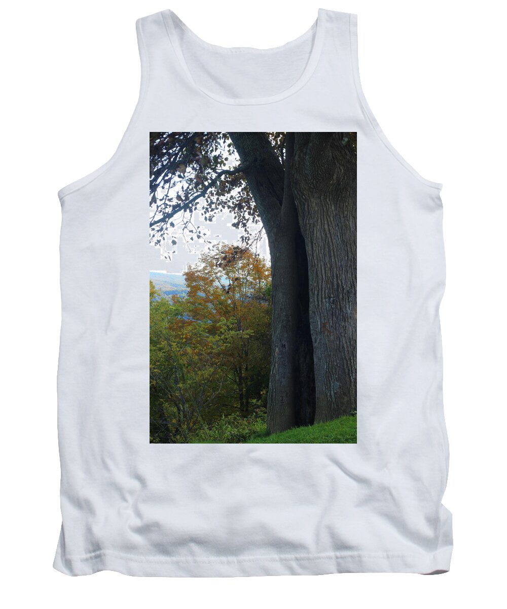 Nature Tank Top featuring the photograph Blue Ridge Parkway Tree by Cathy Lindsey