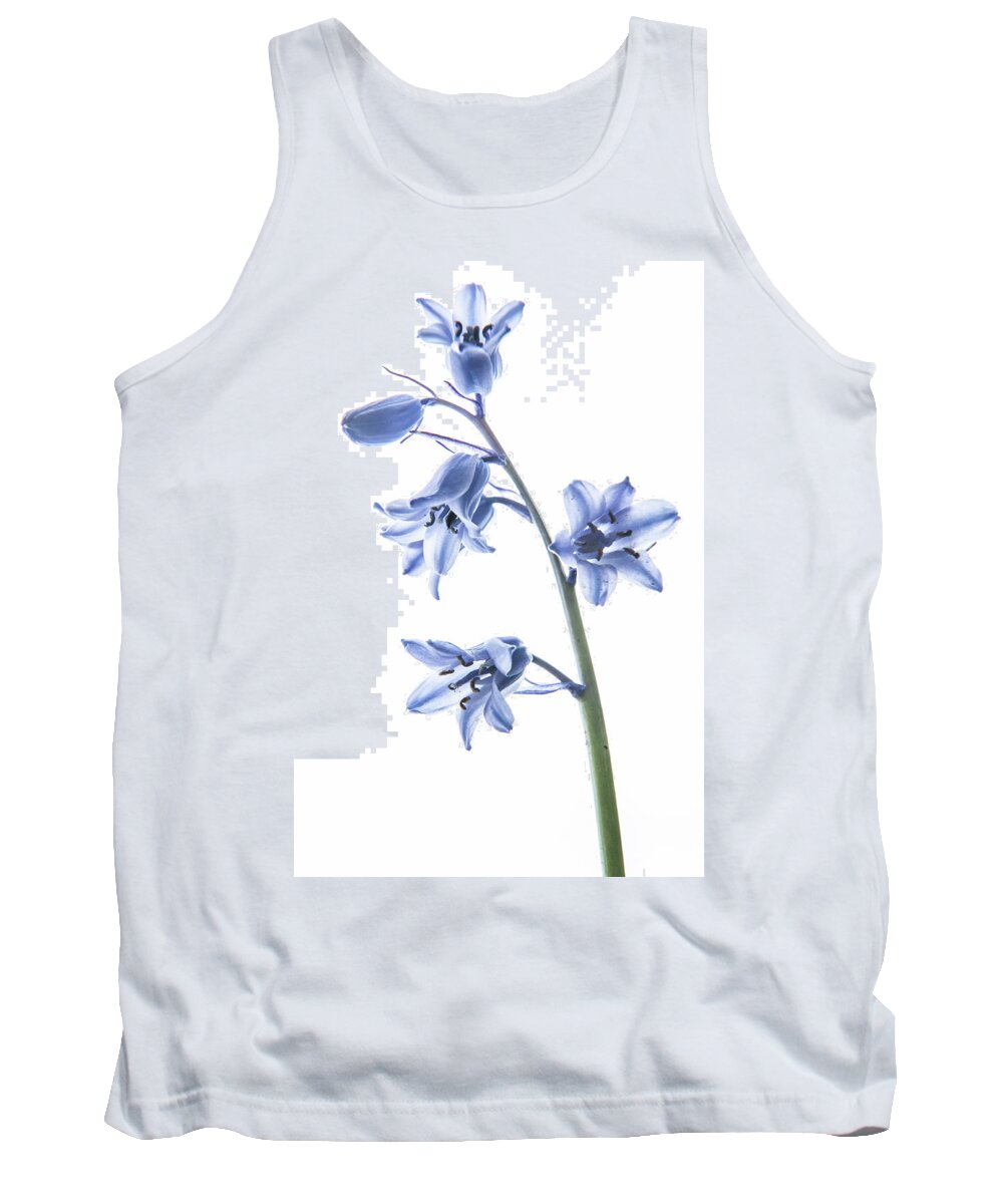 Bluebell Tank Top featuring the photograph Bluebell Stem by Helen Jackson