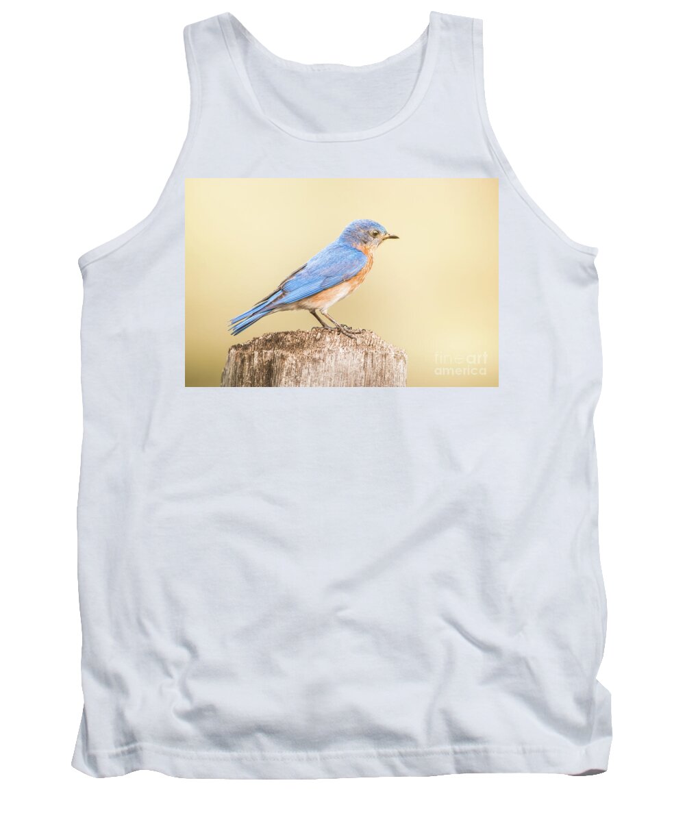 Nature Tank Top featuring the photograph Bluebird On Fence Post by Robert Frederick