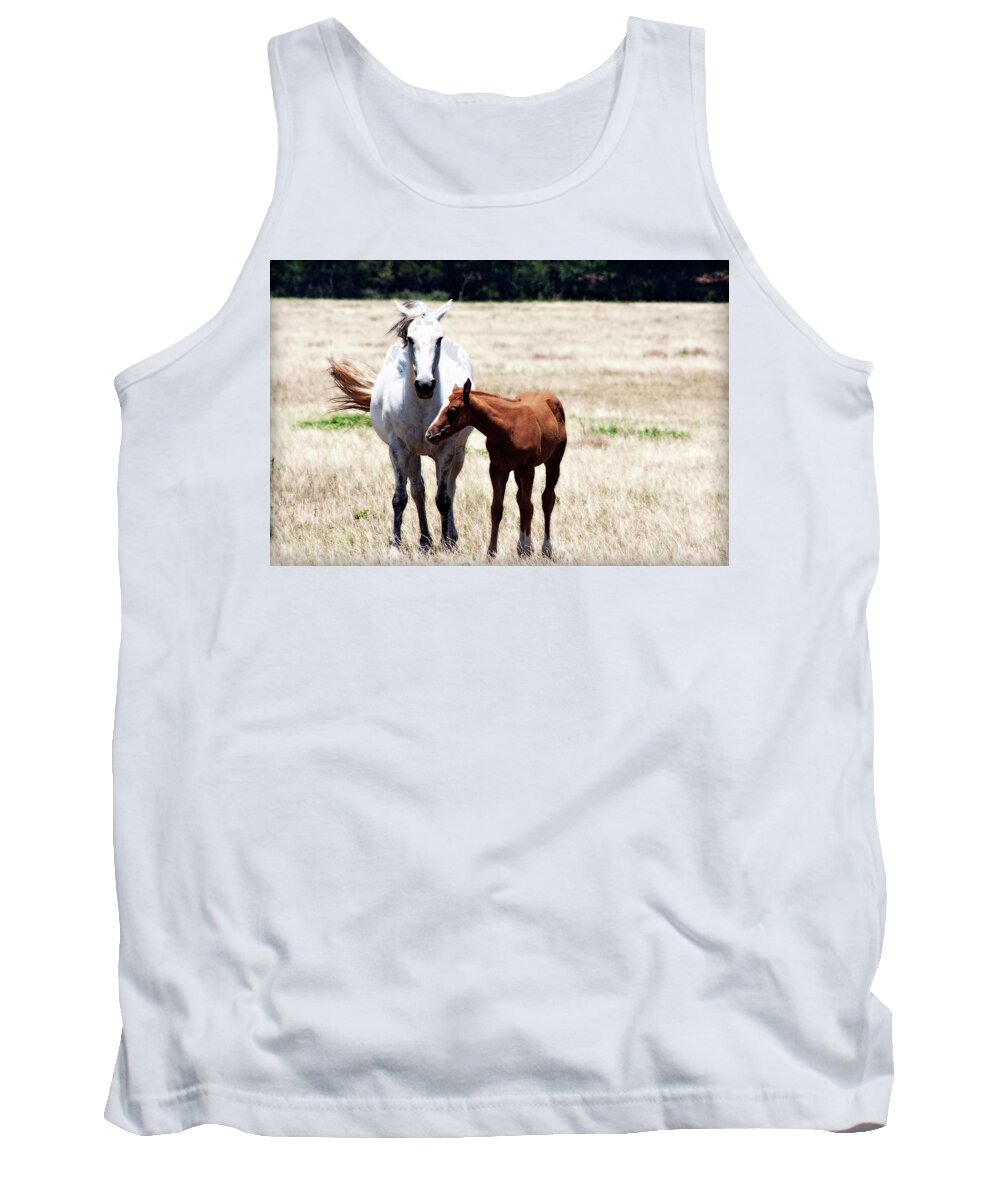 Mare And Foul Tank Top featuring the photograph Bonding Time by Douglas Barnard