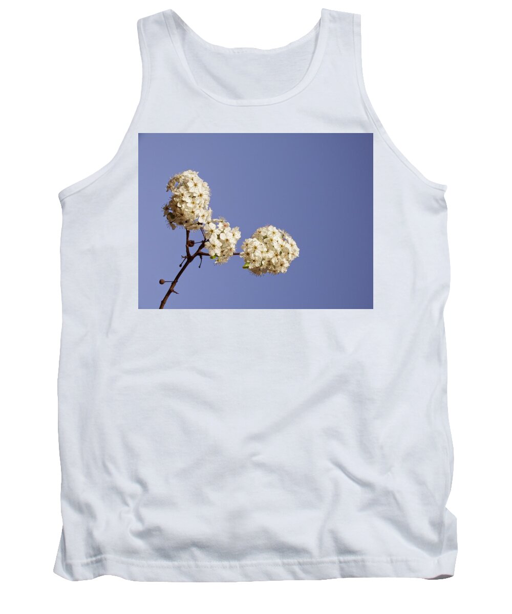 Scoobydrew81 Andrew Rhine Bradford Pear Bloom Blooms Sprint Tree Branch Flower Flowers White Blue Sky Nature Botanical Botany Floral Flora Outside Minimal Simple Clean Crisp Tank Top featuring the photograph Bradford Pear blooms 4 by Andrew Rhine