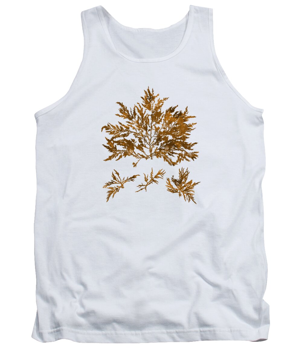 Seaweed Tank Top featuring the mixed media Brown Kelp Seaweed Art Chylocladia Clavellosa by Christina Rollo