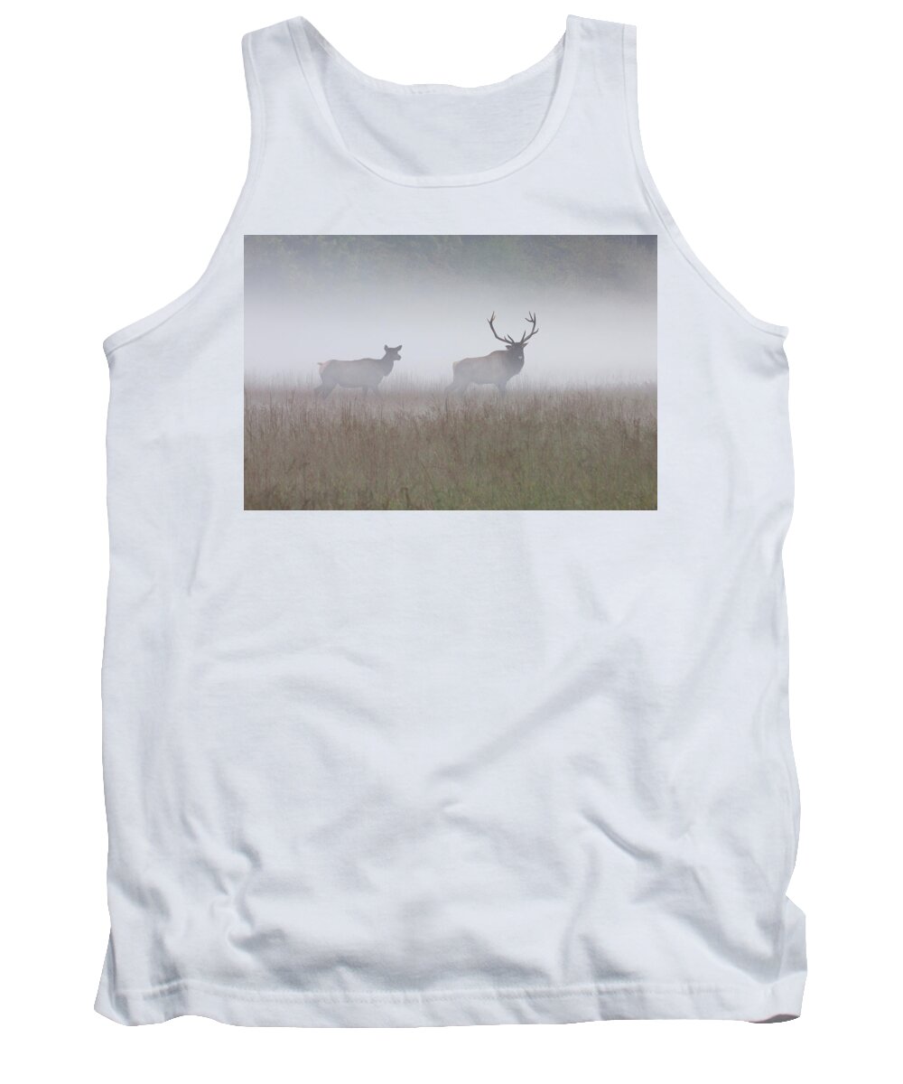 Elk Tank Top featuring the photograph Bull and Cow Elk in Fog - September 30 2016 by D K Wall
