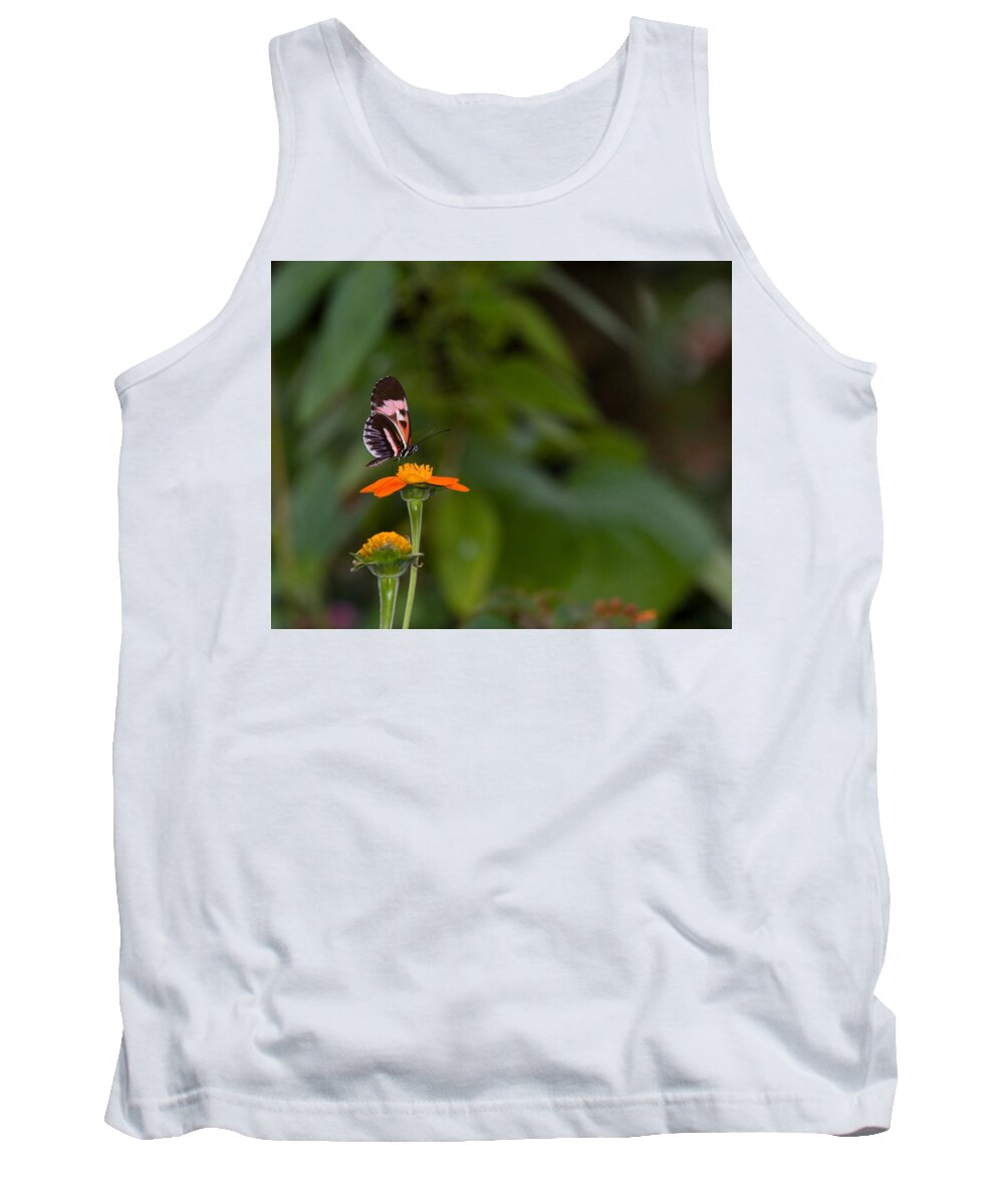 Butterfly Tank Top featuring the photograph Butterfly 26 by Michael Fryd