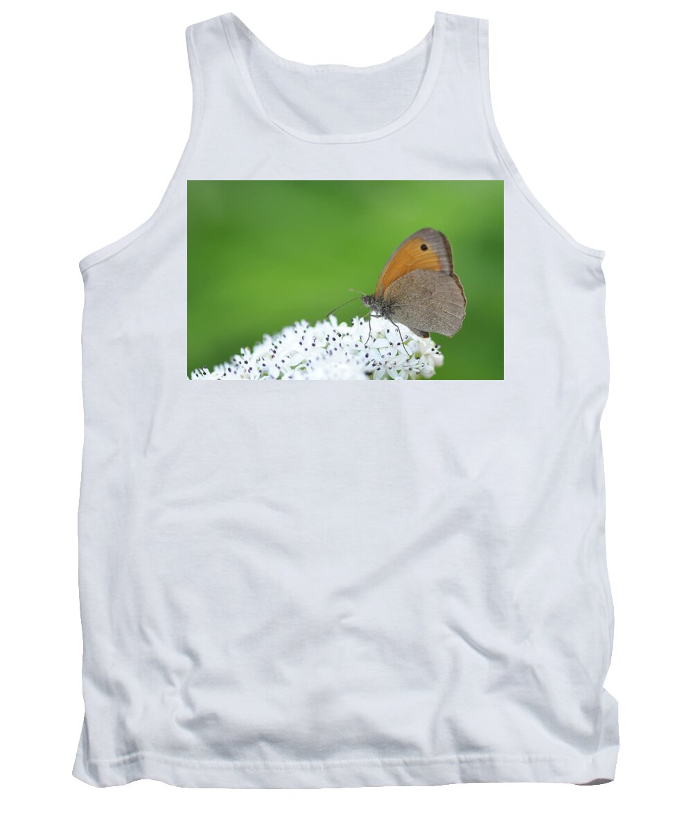 Animal Tank Top featuring the photograph Butterfly by Bess Hamiti