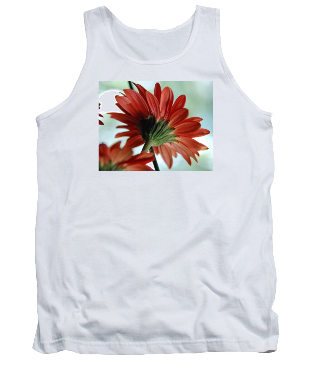 Flowers Tank Top featuring the photograph Cabrera Daisy by John Schneider